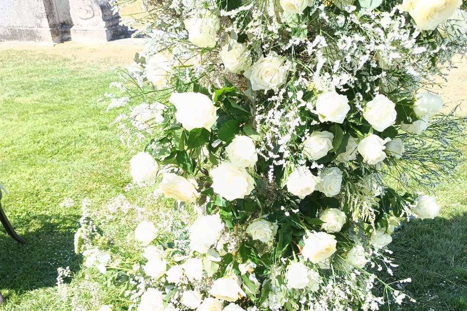 Fleurs