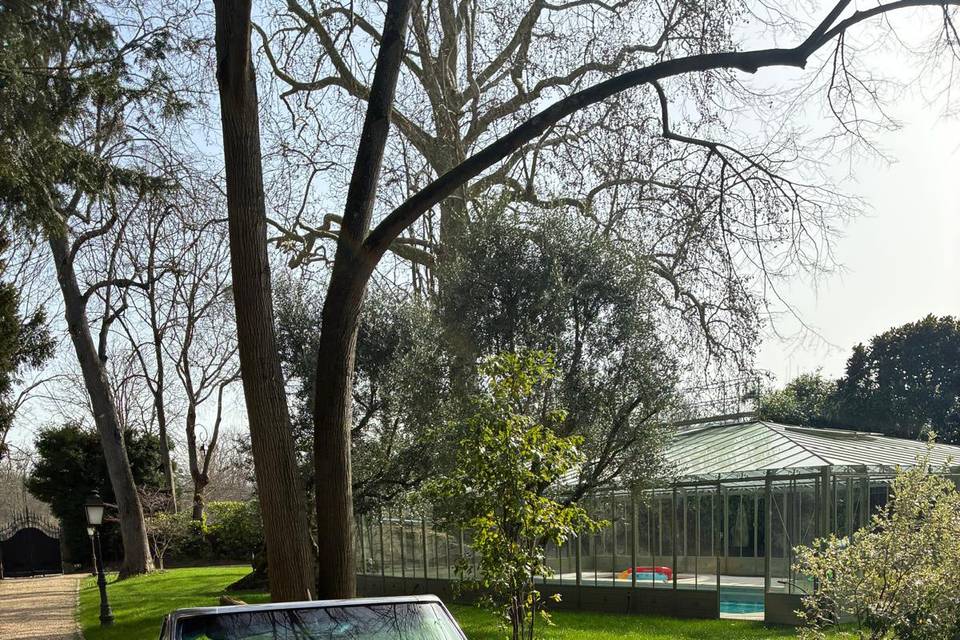 CORVETTE C2 STING RAY