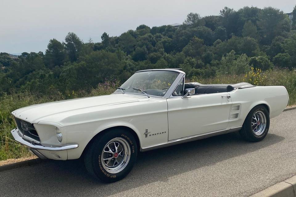 MUSTANG 67