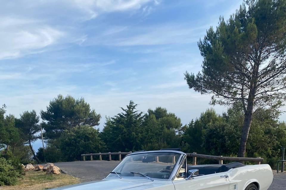 MUSTANG 67