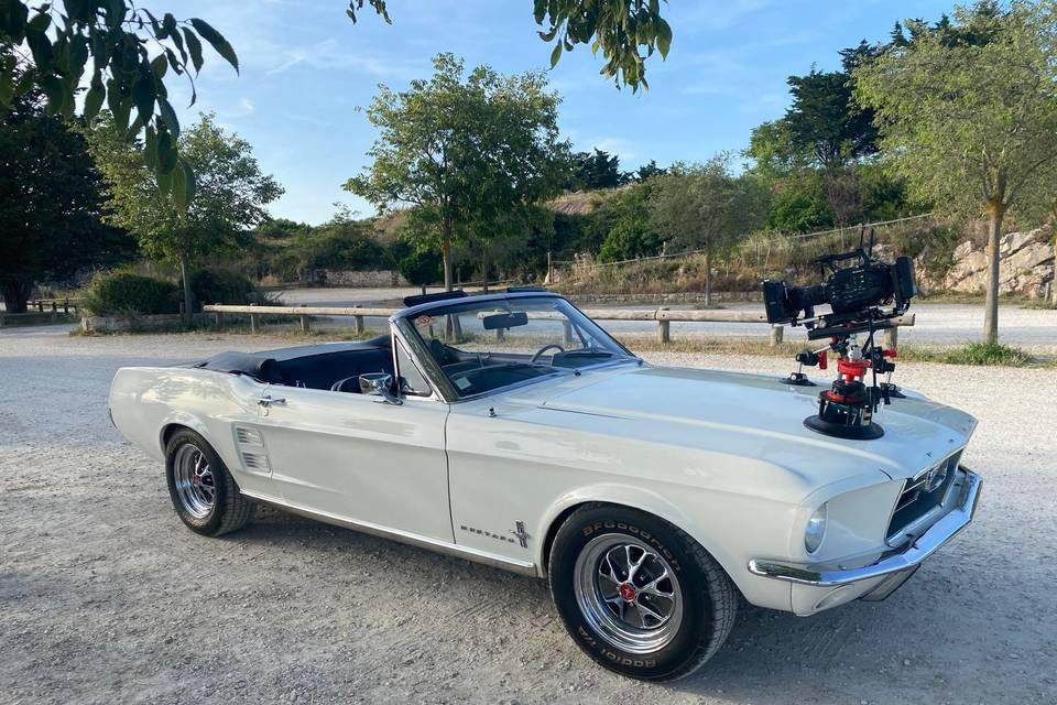 MUSTANG 67