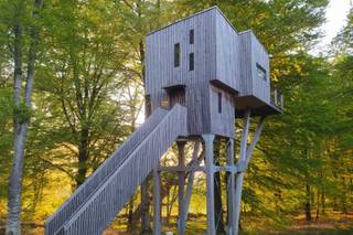 L'Etape en Forêt