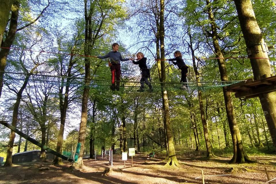 L'Etape en Forêt