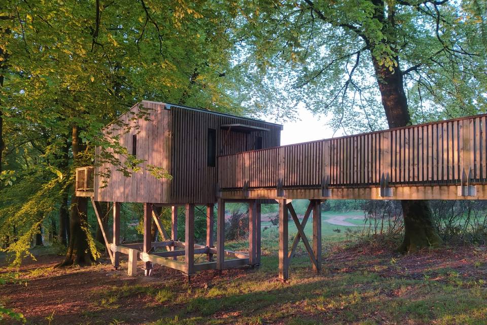 Cabane dans les arbres PMR