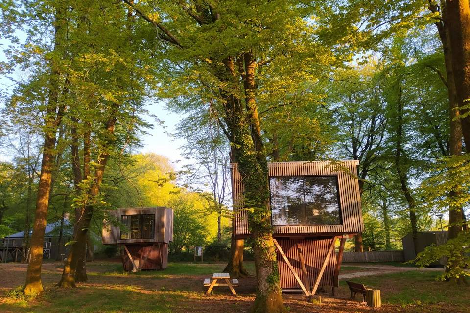 L'Etape en Forêt