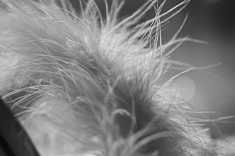 Détails pantoufle de la marié