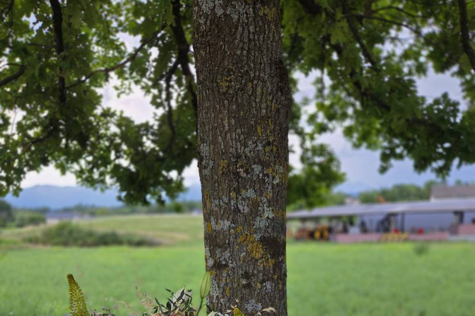 Mariage champêtre