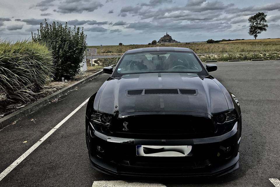 Shelby GT 500