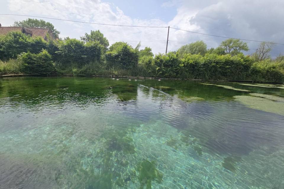 Etang 7000 m²