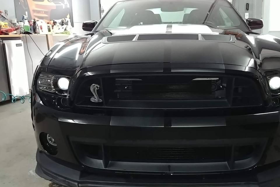 Shelby GT 500