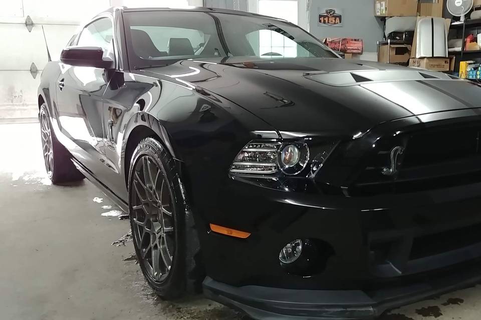 Shelby GT 500