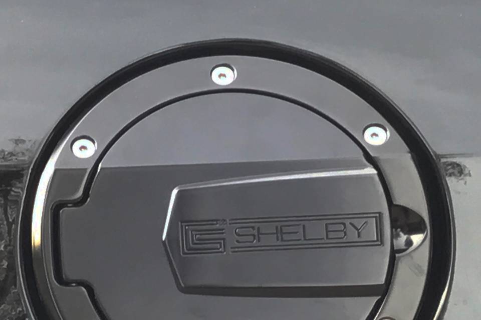 CS Fuel billet door