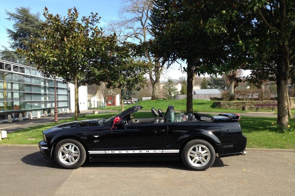 Ford Mustang Cabriolet