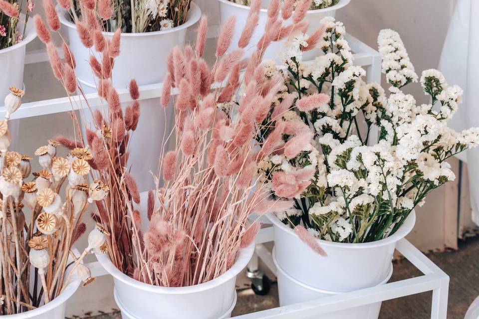 Fleurs séchées