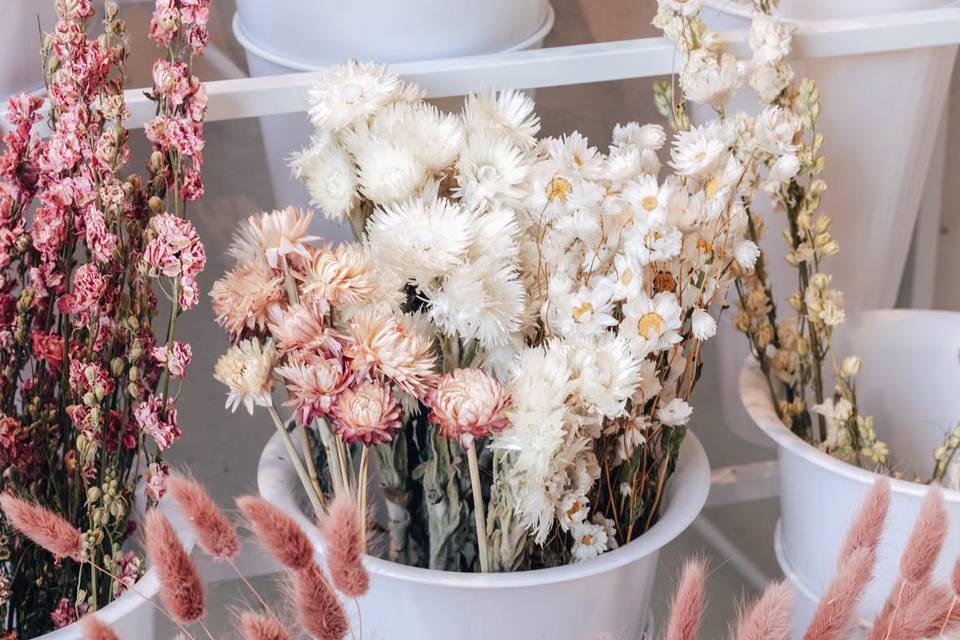 Fleurs séchées
