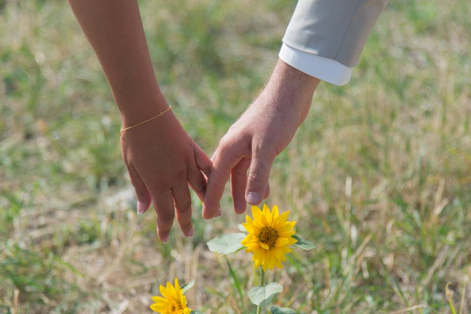 Naturel 2 tournesols