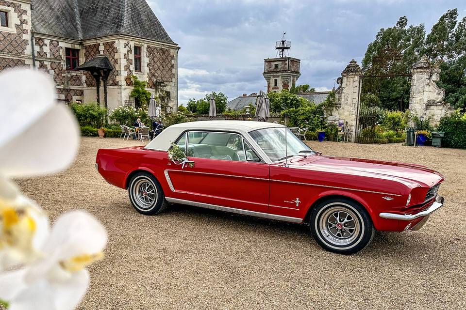 La Voiture