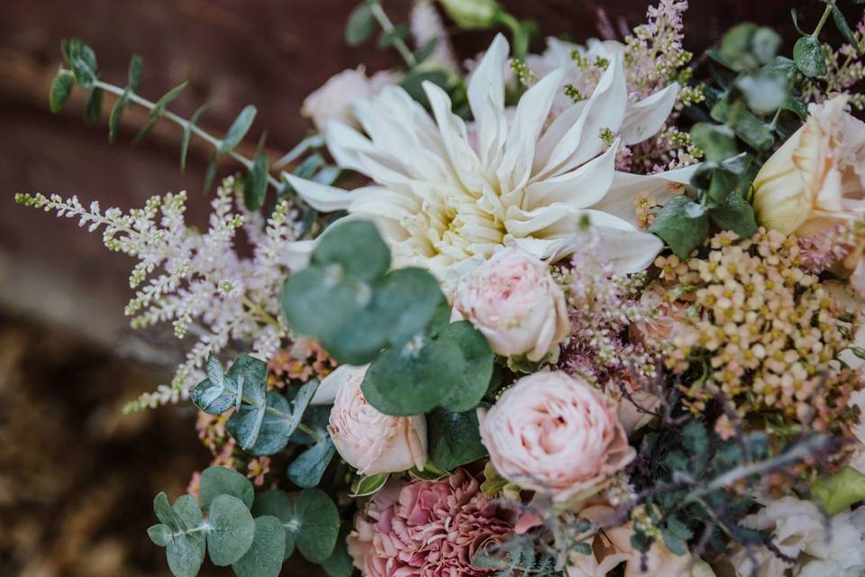 Détails de fleurs