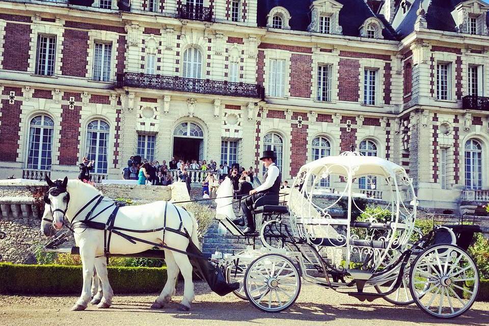 Les Calèches de Versailles