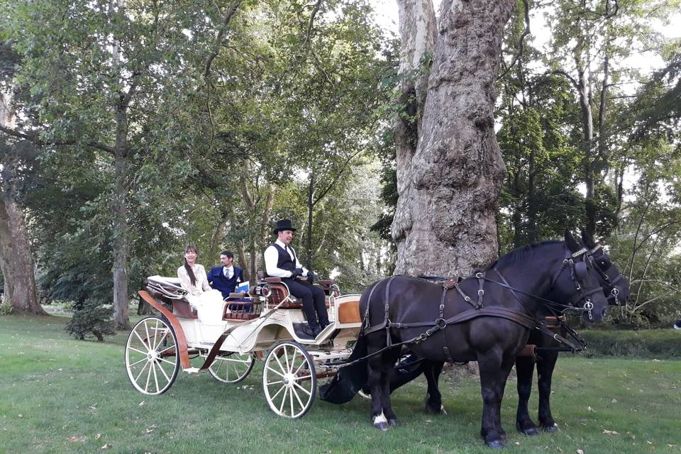 Les Calèches de Versailles