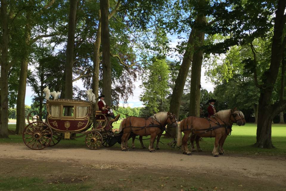 Les Calèches de Versailles