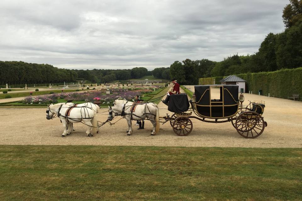 Mariage carrosse Paris