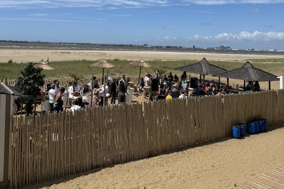 La cabane des pins