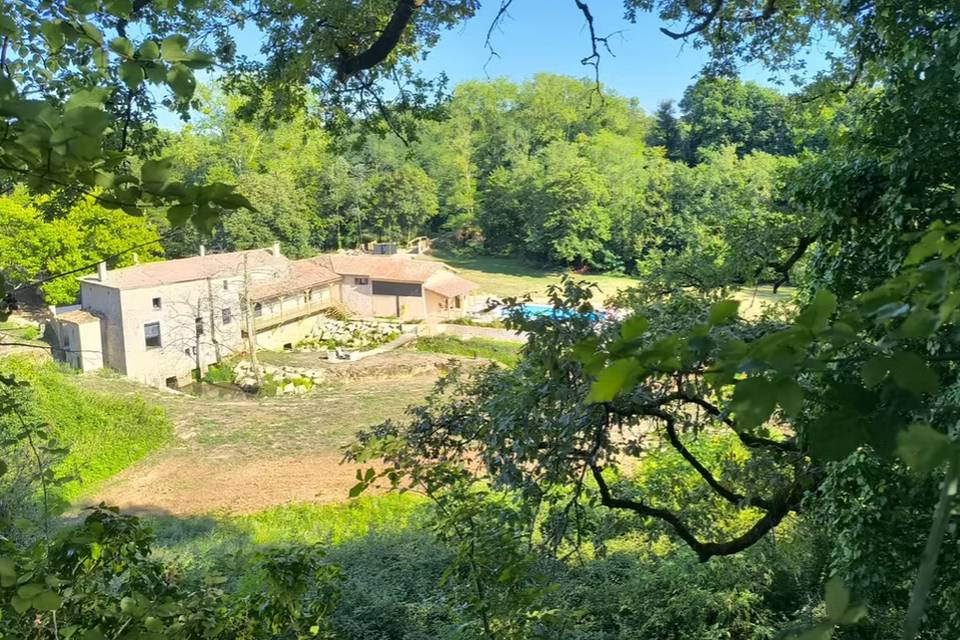 Site vue