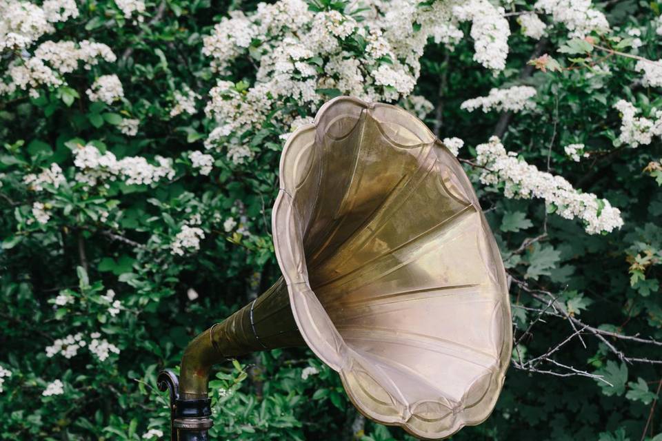 Gramophone en location