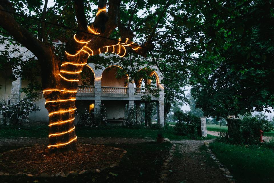 Arbre lumineux