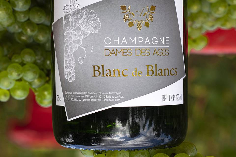 Champagne Dames des Agis