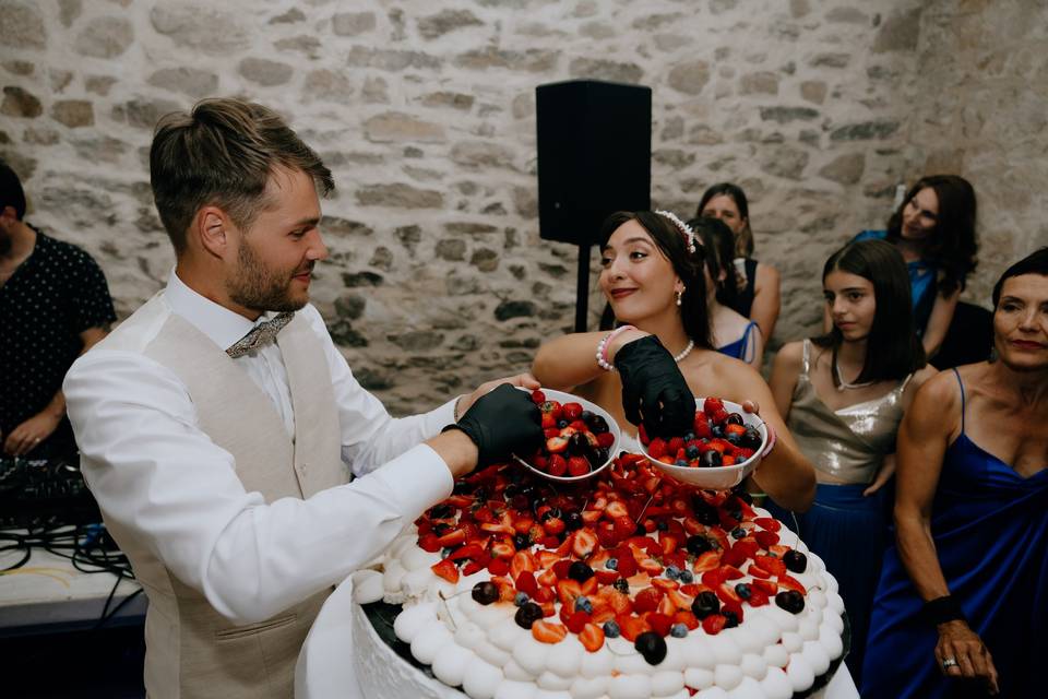 Pavlova xxl