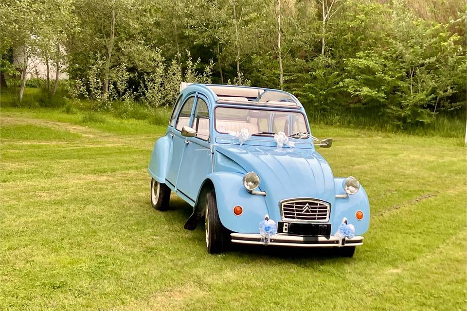 Blue Virgin