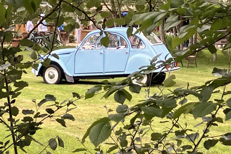 Blue Virgin