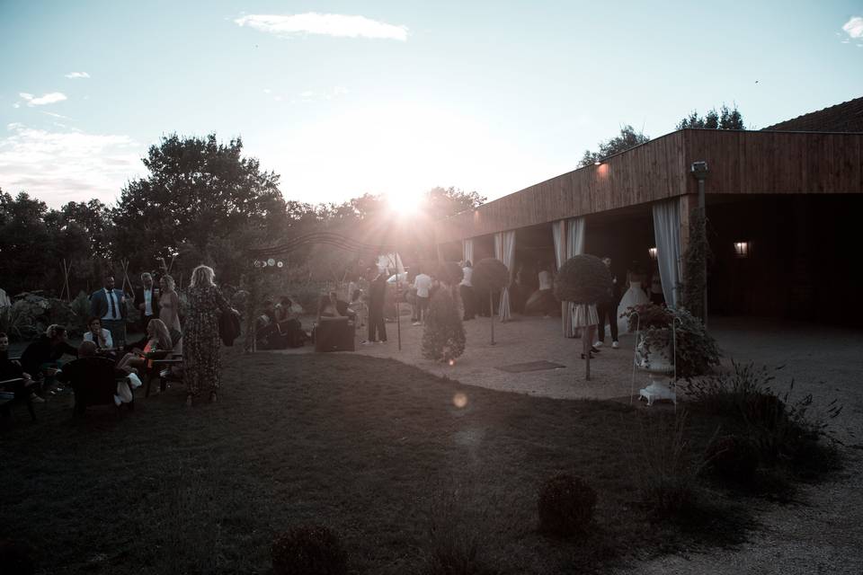 Domaine