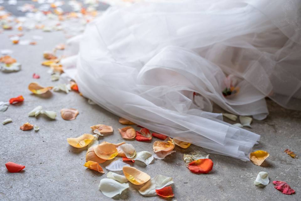 Voile pétales