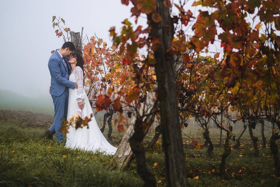 Vignes en automne