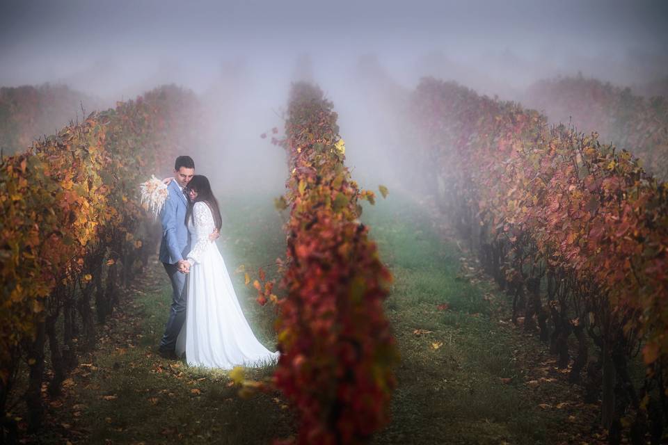 Vignes en automne