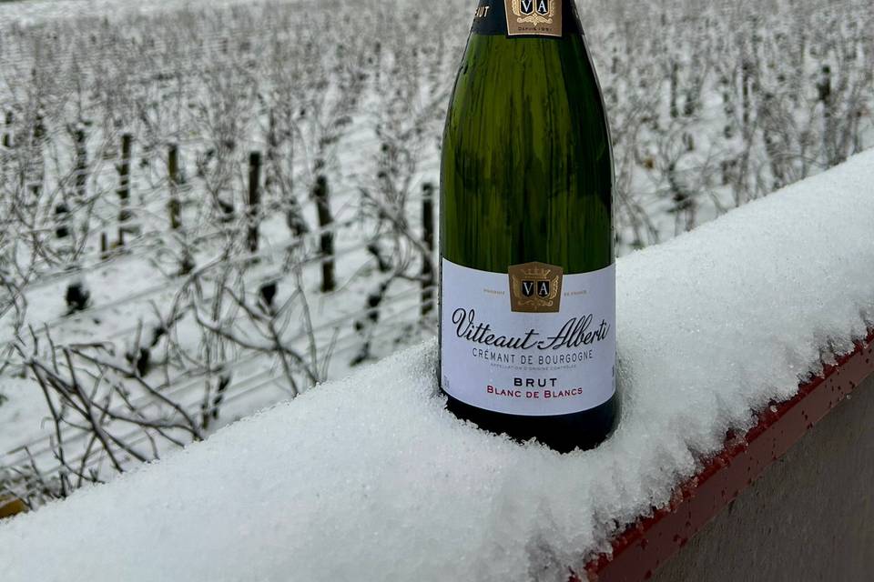 Blanc de Blancs neige