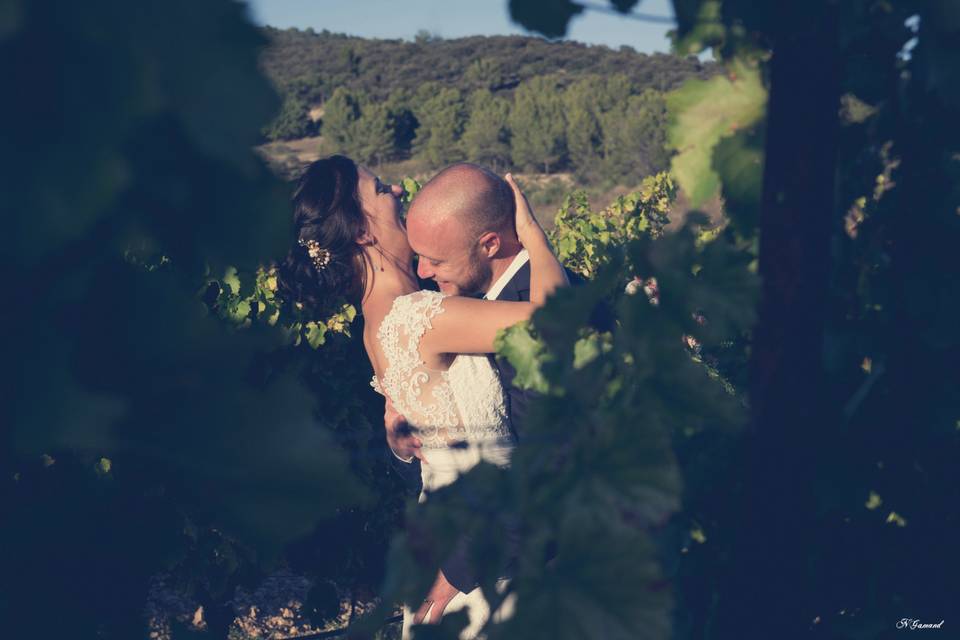 Baiser dans les vignes