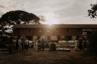 Domaine de Barthas