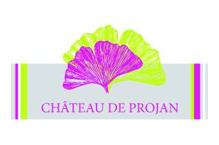 Soirée Château de Projan