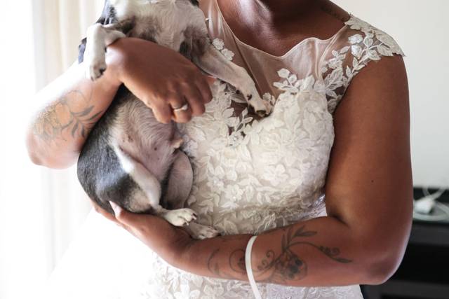 La mariée et son chien