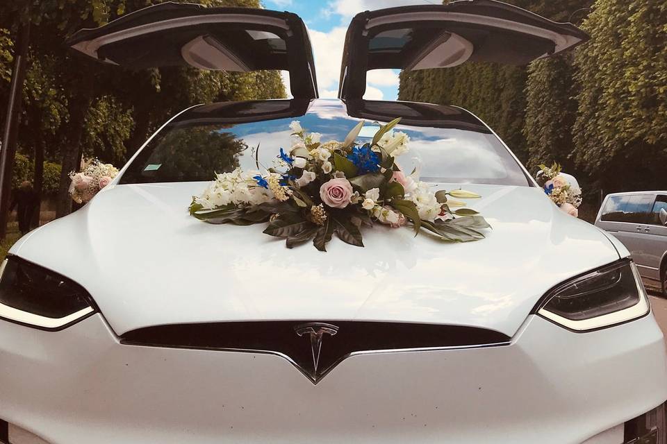 Model X blanche - M & R