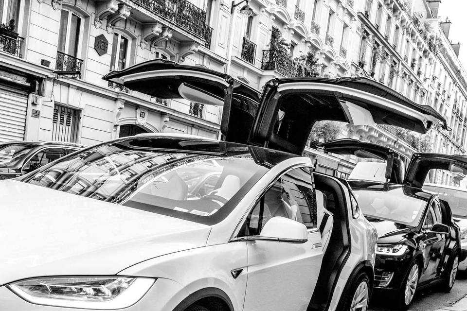 Model X blanc et noir