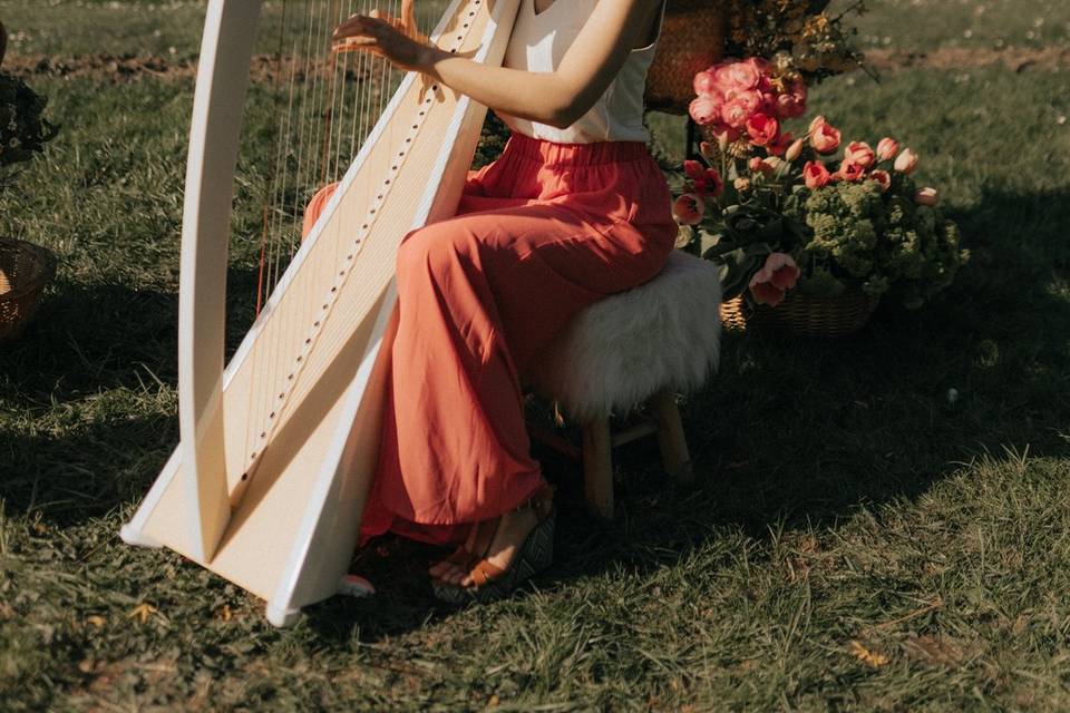 Delphine à la harpe