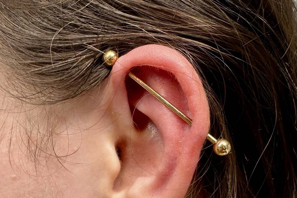 Des piercings 1