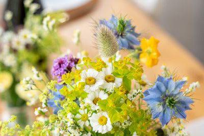 Fleurs de saison