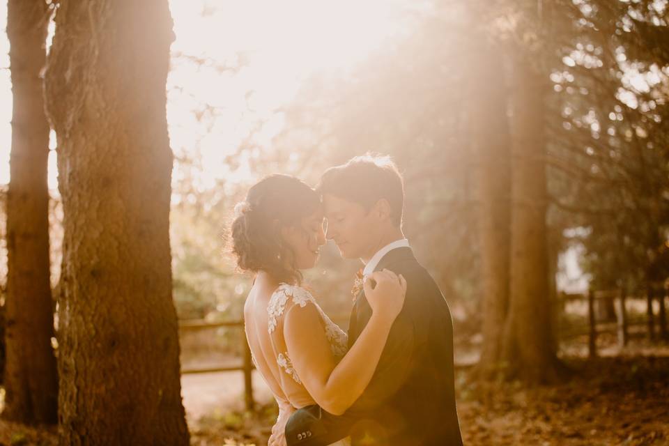 Mariage - Lozère
