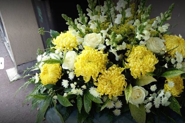 Alp'flor